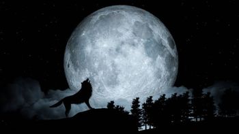 luna llena.jpg