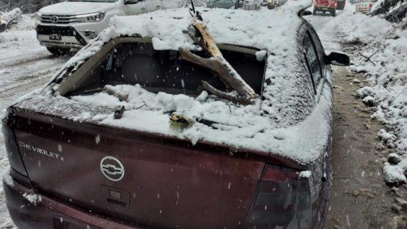 Ahora una rama cayó sobre un auto en San Martín de los Andes
