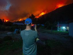 Las publicaciones falsas tienen las mismas fotografías y texto que la información original, solo cambian el alias para recibir las donaciones. Las publicaciones falsas tienen las mismas fotografías y texto que la información original, solo cambian el alias para recibir las donaciones.