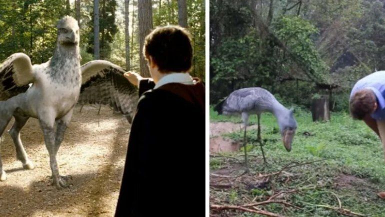 Los internautas no tardaron en reaccionar ante el video viral de YouTube