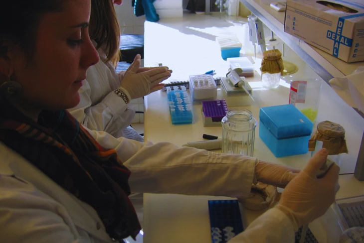 Viñedos mendocinos en La Consulta: cuna de Lalvin Tango, la levadura que duplica exportaciones del INTA y realza el Malbec argentino. Foto: INTA Viñedos mendocinos en La Consulta: cuna de Lalvin Tango, la levadura que duplica exportaciones del INTA y realza el Malbec argentino. Foto: INTA