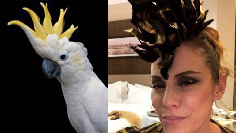 Martín Fierro 2018: los memes no se hicieron esperar en las redes