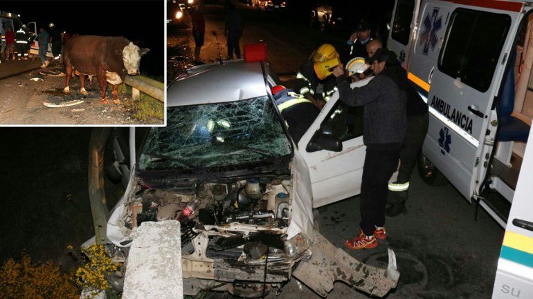 Impactantes imágenes: un auto chocó contra un toro en Junín de los Andes