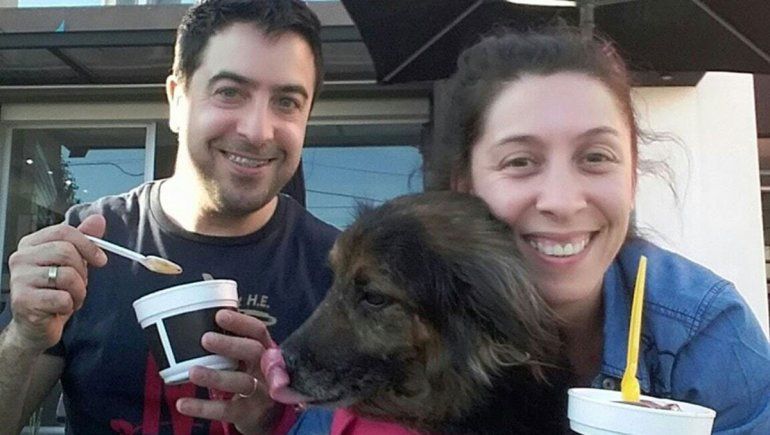 Mona, la perra que se perdió en Ezeiza antes de que saliera el avión