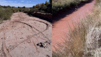 no hay agua en los canales de rincon y preocupa la produccion