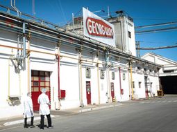 ¿Por qué los Flynn Paff ahora vendrán de China? La decisión de Georgalos ¿Por qué los Flynn Paff ahora vendrán de China? La decisión de Georgalos