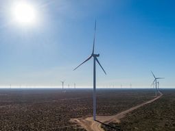 El parque eólico Pomona cuenta con 29 aerogeneradores. Foto: gobierno de Río Negro