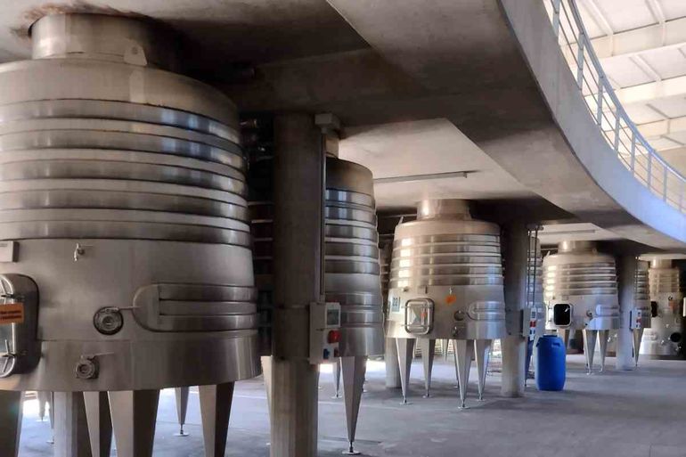 Estilos extremos en la vinificación de Malbec