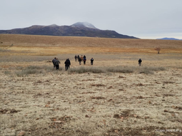 Se busca un enfoque eco-sistémico e integral. Se busca un enfoque eco-sistémico e integral.