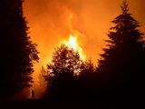 Asistencia a los productores afectados por el incendio