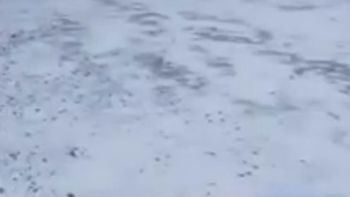 Continua el temporal de nieve en la región.&nbsp;