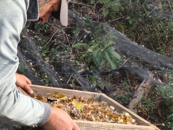 Chubut: recolección de semillas nativas en el Parque Nacional Lago Puelo.