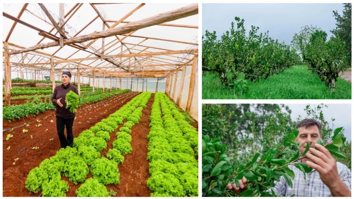 El informe afirma que realinear los incentivos agrícolas. Foto: Banco Mundial. El informe afirma que realinear los incentivos agrícolas. Foto: Banco Mundial.