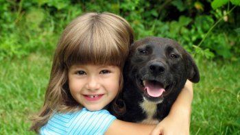 El proceso comienza desde cachorro, cuando se lo ayuda a que pierda el miedo con cariño. El proceso comienza desde cachorro, cuando se lo ayuda a que pierda el miedo con cariño.