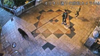 Dos personas se encuentran de manera sorpresiva con un oso en Japón. Dos personas se encuentran de manera sorpresiva con un oso en Japón.