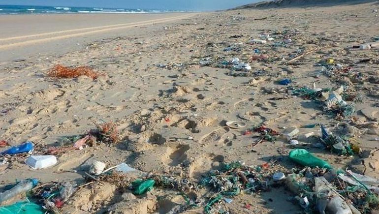 Playas de Puerto Pirámides contaminadas de basura