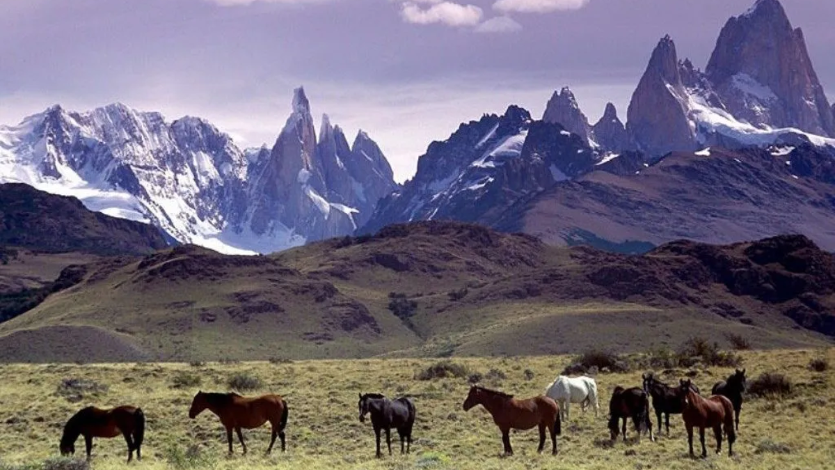 La Patagonia de las utopías thumbnail