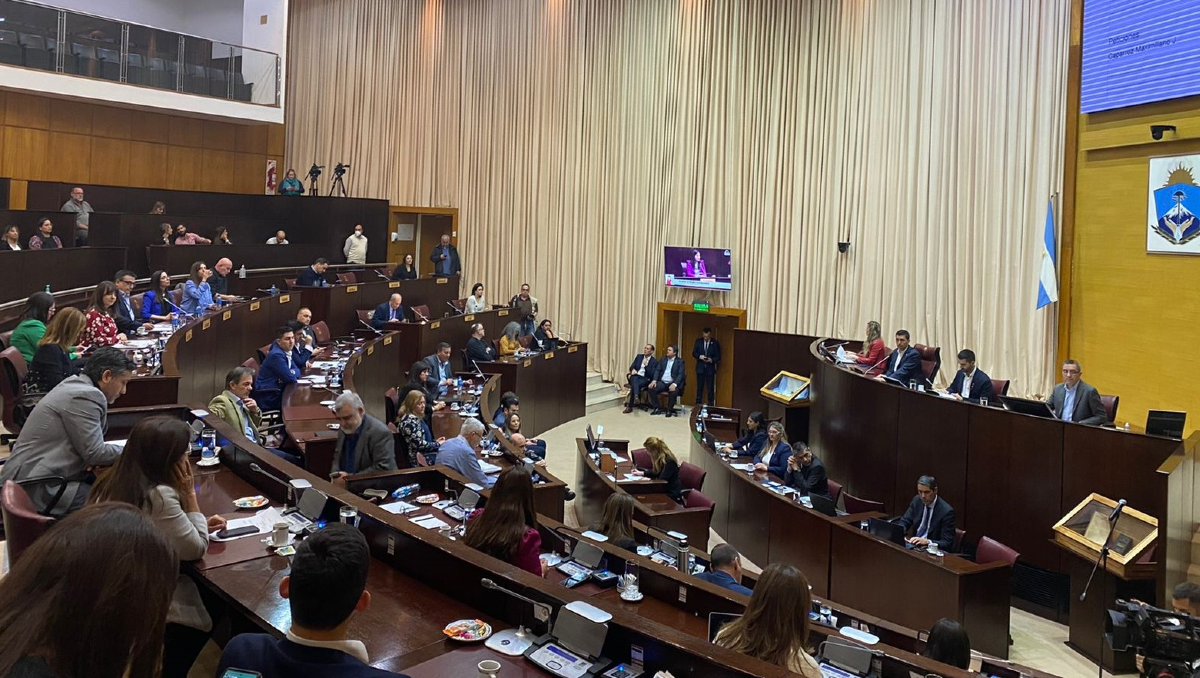 Unánime condena de la Legislatura al atentado contra Cristina