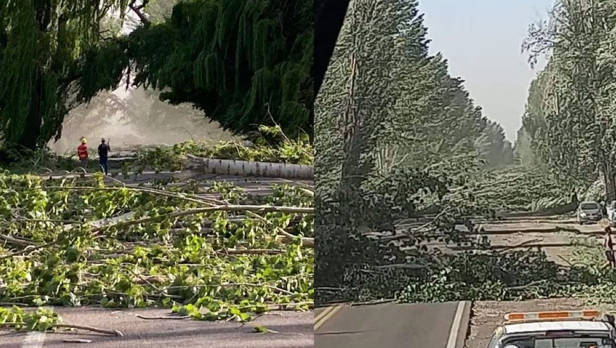 El Zonda causó numerosos problemas en Mendoza: importantes demoras en Ruta 40 con destino a Neuquén
