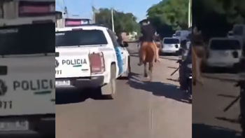 Un video de una insólita persecusión a caballo se volvió viral. Un video de una insólita persecusión a caballo se volvió viral.