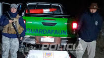 secuestraron 50 truchas arcoiris y elementos de pesca en villa meliquina
