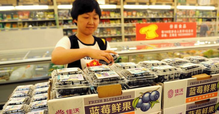 Los primeros arándanos que llegan del Hemisferio Sur al mercado de China logran excelentes precios. Los primeros arándanos que llegan del Hemisferio Sur al mercado de China logran excelentes precios.