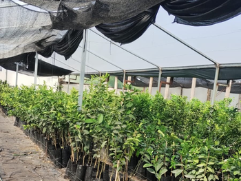 La Resolución 64 del Senasa establece un esquema de registro dinámico basado en riesgos reales. Foto: Senasa