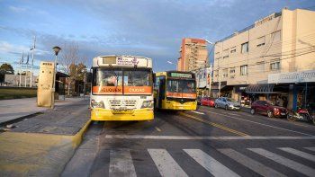 colectivos