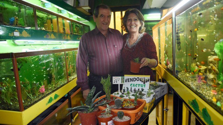 La pareja atiende el negocio y capacita a quien esté interesado en los peces o los cactus.