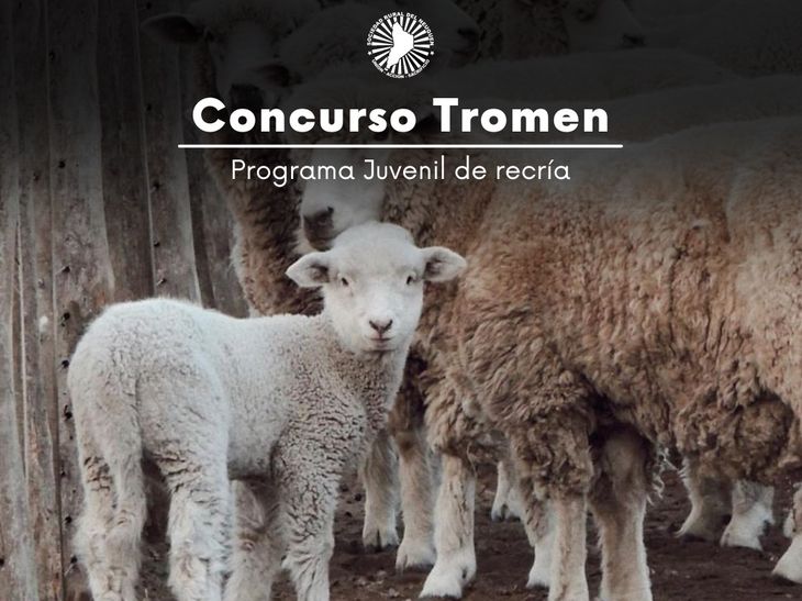 Los referentes del concurso son la ingeniera agrónoma Eugenia Hiriart y el médico veterinario Joaquín Ferrería. Los referentes del concurso son la ingeniera agrónoma Eugenia Hiriart y el médico veterinario Joaquín Ferrería.