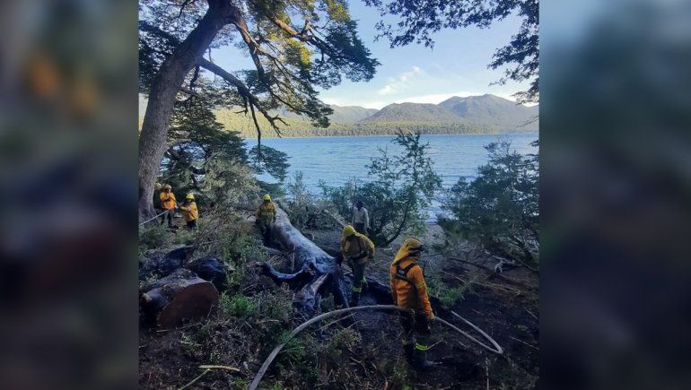 Incendio en Quillén: ¿cuántas hectáreas se afectaron?