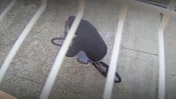 Comodoro Rivadavia: robó una bicicleta y quedó filmado. Comodoro Rivadavia: robó una bicicleta y quedó filmado.