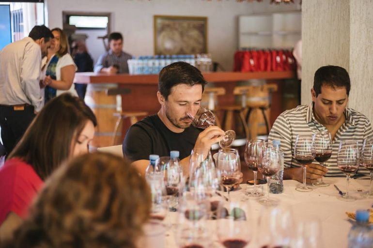 Los caminos del vino, en clave patagónica