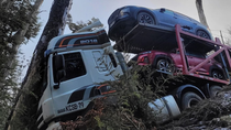 impactante choque en el paso cardenal samore: un camion transportador se estrello contra un arbol