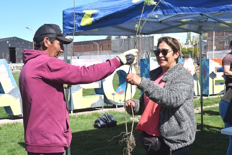 Los árboles fueron entregados este jueves en el Paseo La Estación. 