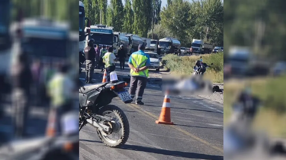 La víctima conducía una moto por la Ruta 151, cuando fue arrollado por un camión.&nbsp;