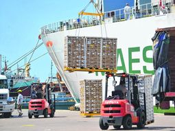 Las exportaciones de peras argentinas, siguen por la senda del crecimiento. Las exportaciones de peras argentinas, siguen por la senda del crecimiento.