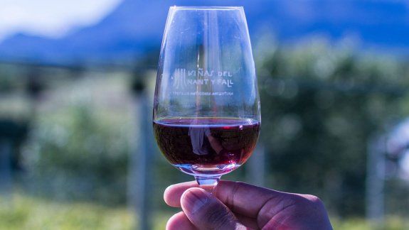 Crecieron las exportaciones de vinos argentinos en un 35