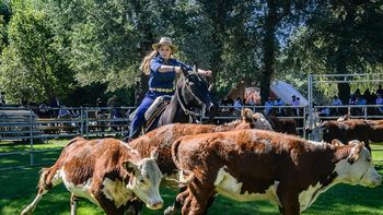 Expo Bovinos, un espacio que reúne producción, capacitación, genética y tradición. | LM Neuquen Expo Bovinos, un espacio que reúne producción, capacitación, genética y tradición.