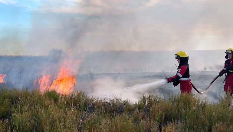 El incendio se reavivó este viernes por la mañana en Senillosa / Foto Gentileza
