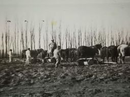 valentina sur y su pasado como colonia rural valentina sur y su pasado como colonia rural