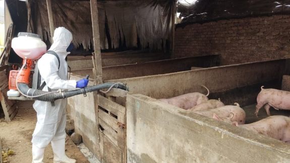 El Senasa reforzó controles para evitar que productos como el jamón ingresen con riesgo sanitario al país.