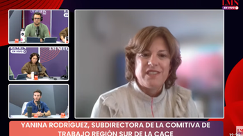 Los televisores fueron el producto estrella del Hot Sale 2026 que facturó $673.000 millones Los televisores fueron el producto estrella del Hot Sale 2026 que facturó $673.000 millones