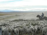 Las prestaciones seman un 10% para el trabajador tanto de Río Negro como para Neuquén.