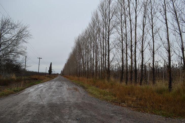 De almacén de ramos generales a bodegón: Don Domingo recupera su historia en la Ruta 22 del Alto Valle. Foto: gentileza