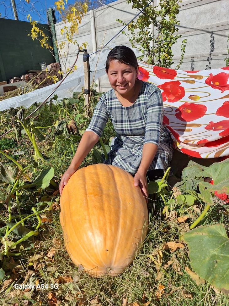 Norma Martínez, huertera Barrio Don Bosco. Foto: Proda. Norma Martínez, huertera Barrio Don Bosco. Foto: Proda.