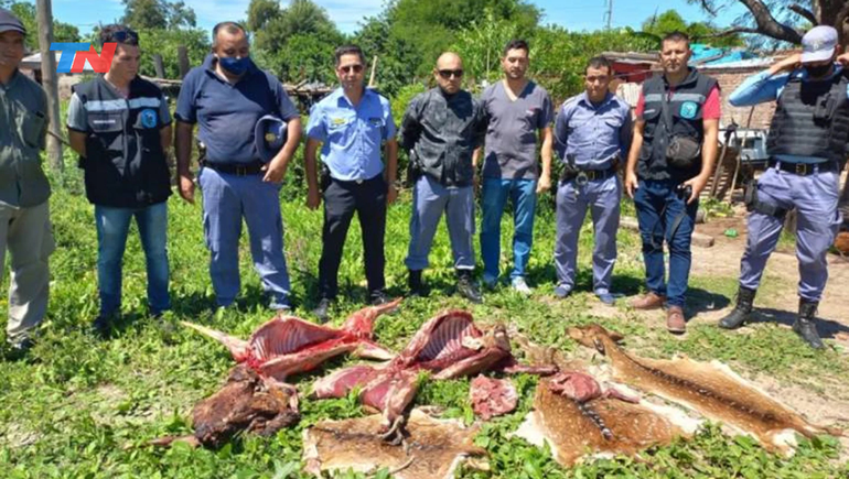 Roban ciervos de una reserva y los tiran a la parrilla