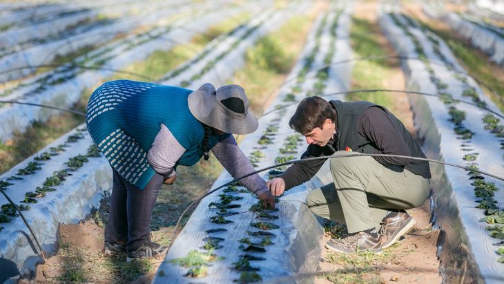 Los productores cuentan con el asesoramiento de Centro Pyme Adeneu. Foto: Gobierno de Neuquén. Los productores cuentan con el asesoramiento de Centro Pyme Adeneu. Foto: Gobierno de Neuquén.