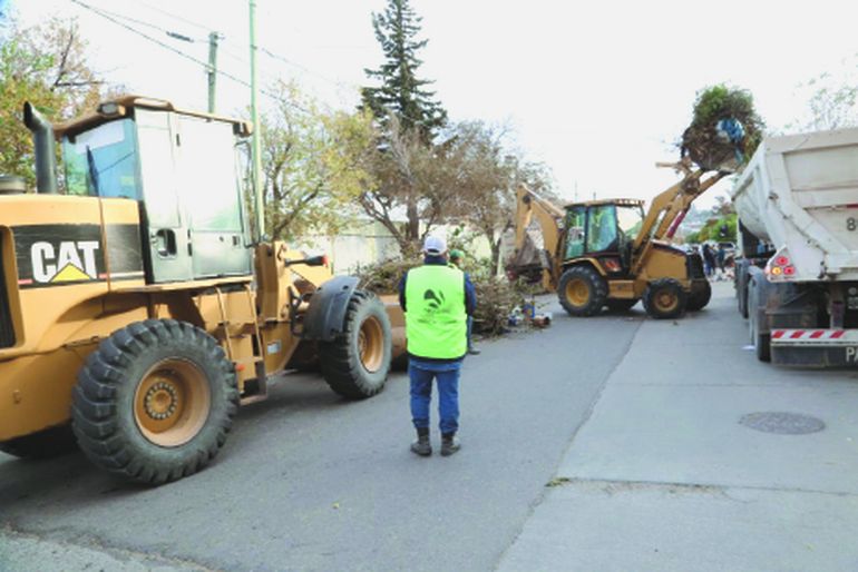 En los barrios retiraron 67 toneladas de residuos voluminosos. En los barrios retiraron 67 toneladas de residuos voluminosos.