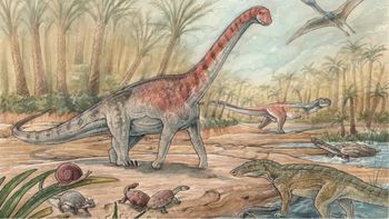 El dinosaurio con enanismo fue descubierto cerca de General Roca. El dinosaurio con enanismo fue descubierto cerca de General Roca.